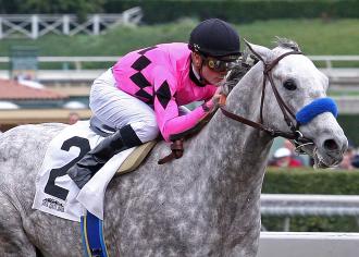 flashback racehorse Flashback