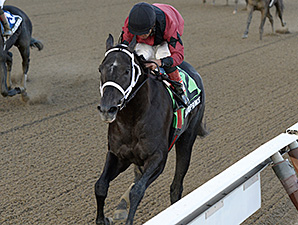 cairoPrince2NashuaS2013ACJOELABOZZETTA298