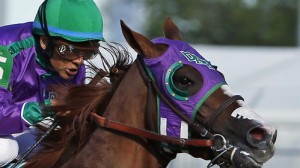 la-sp-sn-california-chrome-nasal-strip-2014051-001